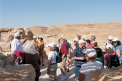 Adults Only Tours to Israel - Israel Discovery Tours