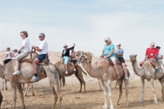 Adults Only Tours to Israel - Israel Discovery Tours