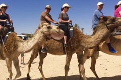 Adults Only Tours to Israel - Israel Discovery Tours2