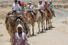 Family Bar/Bat Mitzvah Tours to Israel - Israel Discovery Tours