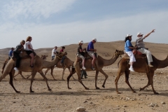 Adults Only Tours to Israel - Israel Discovery Tours