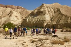Adults Only Tours to Israel - Israel Discovery Tours